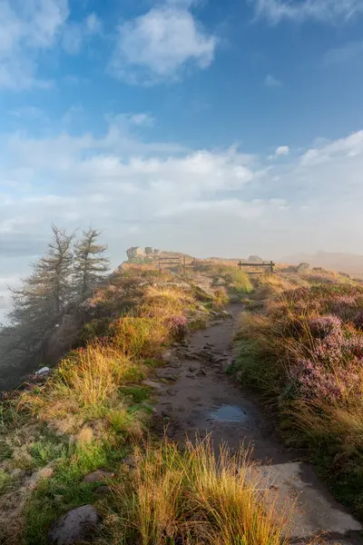 stock image A misty summer sunrise with purple heather in bloom at The Roaches in the Staffordshire Peak District National Park, England, UK.