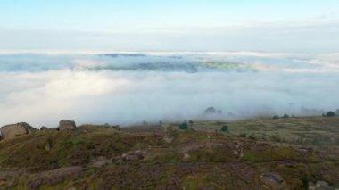 İngiltere, İngiltere 'deki Peak District Ulusal Parkı' nda serpilmiş mor fundanın üzerinde uçan sinematik bir B rulo film..