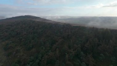 İngiltere, İngiltere 'deki Peak District Ulusal Parkı' nda serpilmiş mor fundanın üzerinde uçan sinematik bir B rulo film..