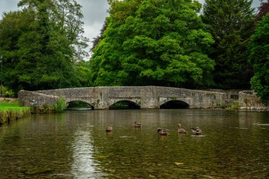 Ashford Ortaçağ 'da Derbyshire Tepesi Ulusal Parkı' nda üç kemerli koyun yıkama köprüsü, İngiltere.