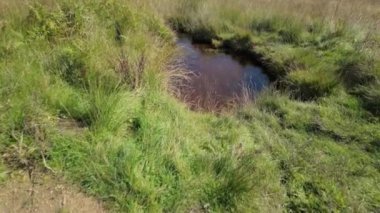 İngiltere, İngiltere 'deki Peak District Ulusal Parkı' ndaki Stanage Edge bozkırındaki küçük bir göletin genel yaz görüntüleri..