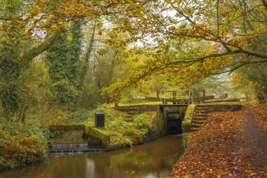 Stockton Brook, İngiltere 'de sonbahar aylarında Caldon Kanalı' ndaki 25. köprüde bir kilit..