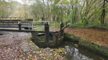 Stockton Brook, Stoke-on-Trent 'teki sonbahar yapraklarıyla çevrili Caldon Kanalı' ndaki bir kilidin görüntüsünü kaydediyorum..