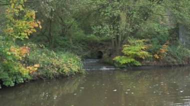 Stockton Brook 'taki Caldon Kanalı' nın 24 no 'lu köprüye yakın manzaralı görüntüsünü genel olarak büyüt.