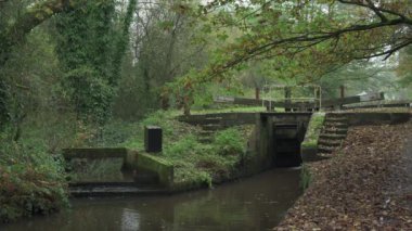 Caldon Kanalı, Stockton Brook, Stoke-on-Trent 'teki 25 no' lu köprünün yakınlarında sonbahar yapraklarıyla çevrili bir kilidin B-roll görüntüsüne kilitlendi..
