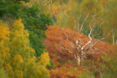 A dead tree digital painting against a vibrant autumn woodland background at Cannock Chase, Staffordshire, England, UK. clipart