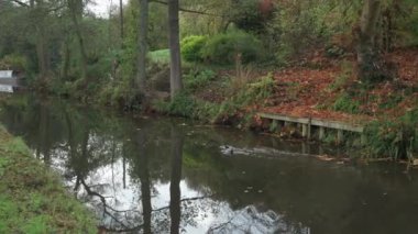 Denford, Staffordshire, İngiltere yakınlarındaki Caldon kanalı boyunca yüzen su kuşlarıyla dolu canlı sonbahar manzaraları..