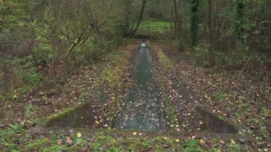 Froghall, Staffordshire, İngiltere, İngiltere yakınlarındaki Caldon Kanalı 'ndaki su taşkınına yakınlaş..