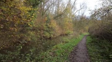Froghall, Staffordshire, İngiltere 'deki Caldon kanalı boyunca uzanan sonbahar görüntüsü..