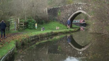 FROGHALL, STAFFORDSHIRE, İNGİLYA - 11 Kasım 2024: Sonbahar boyunca Caldon Kanalı boyunca köpeklerini gezdiren yaşlı bir adam ve kadın.