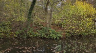 Endüstriyel görüntüler Caldon kanalı boyunca Froghall, Staffordshire, İngiltere, İngiltere yakınlarındaki.