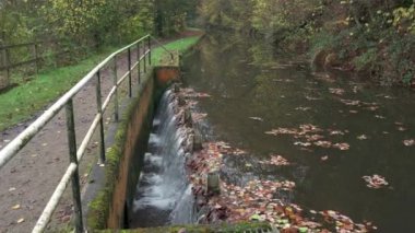 Froghall, Staffordshire, İngiltere, İngiltere yakınlarındaki Caldon Kanalı 'ndaki su taşkınına yakınlaş..