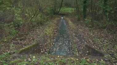 Caldon Kanalı yakınlarındaki su taşkınları Froghall, Staffordshire, İngiltere, İngiltere.