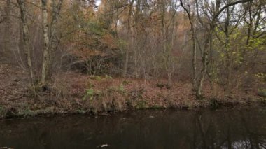 Froghall, Staffordshire, İngiltere 'deki Caldon kanalı boyunca uzanan sonbahar görüntüsü..