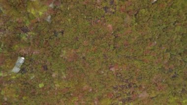 Sinema İHA 'sı İngiltere' de engebeli bir Peak District kış manzarasının görüntüsünü ortaya çıkardı..