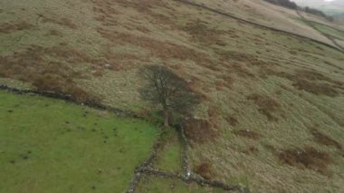 Sinema hava bumerang yörüngesi, İngiltere 'nin Peak Bölgesi' ndeki Roach End 'de hafif kar tozu eşliğinde engebeli bir kışın çekildiğini gösteriyor..