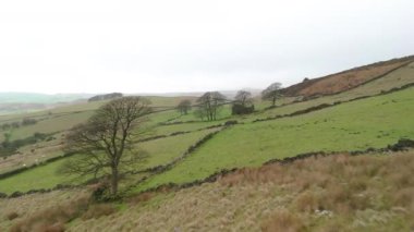 Roach End, Staffordshire 'daki kırsal kırsal bir bozkır tepesi üzerinde hızla alçaktan karaya uçuşun sinematik hava aracı görüntüleri..