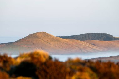 A rural winter sunrise landscape view of Shutlingsloe Hill and Macclesfield forest in the Peak District National Park, England, UK. clipart