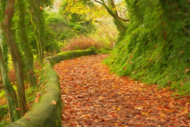 Digital oil painting of vibrant autumn, fall tree and leaf colours along the Caldon canal inland waterway at Froghall in Staffordshire, England, UK. clipart