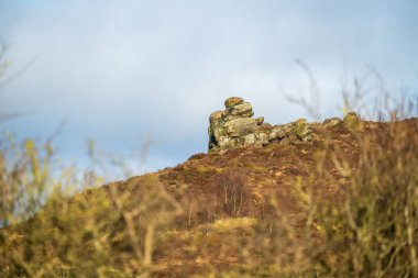 Staffordshire Tepesi Ulusal Parkı, İngiltere 'deki Ramshaw Kayalıkları' nda bir kumtaşı çıkıntısı..