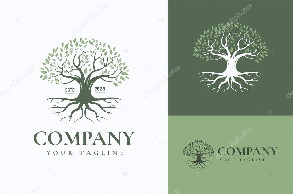 Design Inspiration Tree of life with roots isolated on white background. Abstract Tree Design