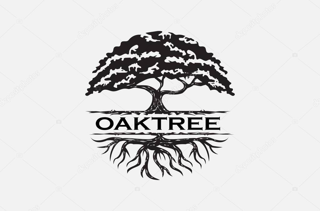 Vintage Retro Oak Tree Logo Design Black and White with Roots for Nature Branding Oak Tree vector logo design template stock illustration, Vector