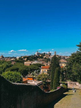 Mavi gökyüzü ve arka planında duvar olan güzel bir şehir manzarası. Duvar taştan yapılmış ve içinden yeşil bir bitki çıkıyor.