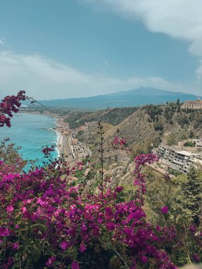 Arka planda dağ olan güzel bir sahil manzarası. Çiçekler mor ve gökyüzü mavi.