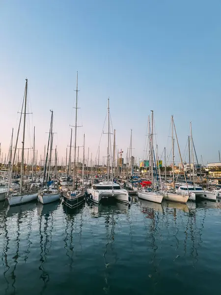 Bir marinaya çok sayıda tekne yanaştı. Su sakin ve gökyüzü berrak.