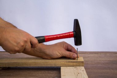 Tahta kalasları çivilerken elinde çekiçle çivi tutan bir işçinin elleri. DIY çalışıyor