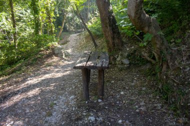 Bir parktaki patika boyunca bulunan ahşap bir masanın görüntüsü. İtalya 'daki Abruzzo Majella Ulusal Parkı' nda tatil