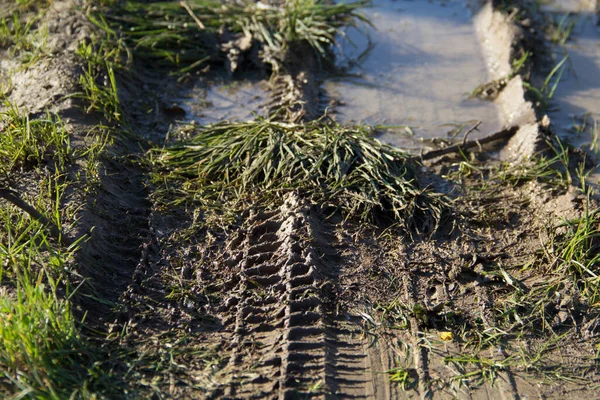 Image of tire tracks on mud on a country road after a rainy day.