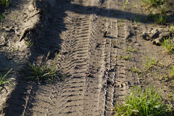Image of tire tracks on mud on a country road after a rainy day.