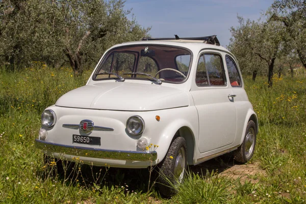 Изображение Старинного Итальянского Автомобиля Fiat 500 Припаркованного Посреди Зеленого Поля — стоковое фото