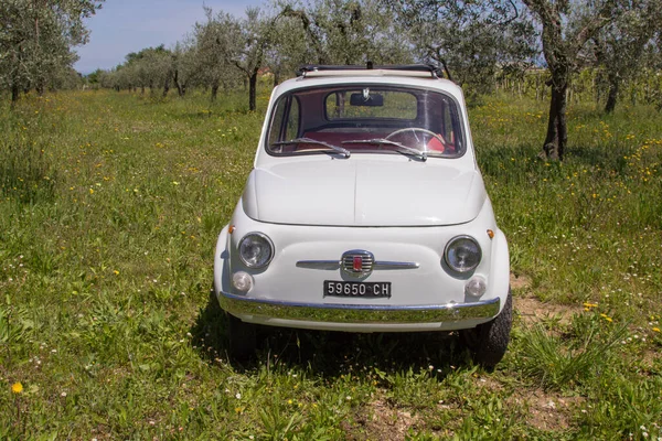 Image Old Vintage Italian Fiat 500 Car Parked Middle Green — Stock Photo, Image