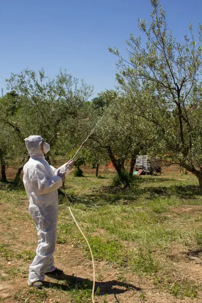 Image of a farmer wearing a protective suit while using a pump to spray pesticides on some plants. Use of chemicals in agriculture