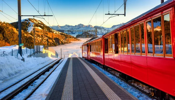 알프스 산맥에 Rigi Kaltbad 철도역에서 기차를 루체른 호수에서 정상까지 운행되는 — 스톡 사진