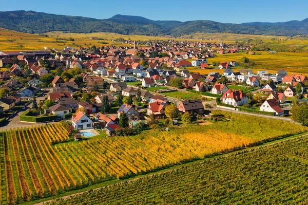 ブドウ畑のテラスや丘の間に設定されたBennwhrとRiquewhirの絵の村とアルザスの秋の田園風景の空中ビュー アルザス フランス ロイヤリティフリーのストック写真