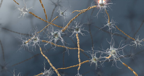 Nervous tissue is found in the brain, spinal cord, and nerves 3d illustration