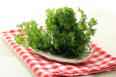Close Up Fresh Parsley, Green Parsley on Ceramic Plate