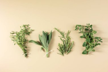 Krem Arkaplanda Üst Görünüm Çeşitli Bitkiler. Sage, Rosemary, Oregano ve Thyme. 