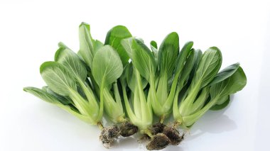 Taze Bok Choy ya da Park Choi Çin Lahanası Beyazlar 'da izole edilmiş. 