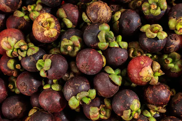 Mangosteen Meyve Arkaplanı, Manggis Meyve Kraliçesi