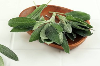 Salvia Memurları. Bilge Yapraklar Tahta Tabakta, Beyaz Masada 