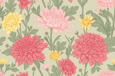 Beautiful seamless pattern with hand drawn pink, red and yellow flowers of Chrysanthemum on a light olive background. Vector illustration of Chrysanthemum. Floral elements for textile design