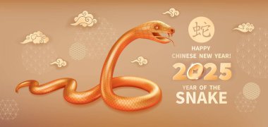 Yılan, 2025 Çin Yeni Yılı 'nın bir sembolüdür. Altın Yılanın gerçekçi üç boyutlu figürü, bej arka planda bulutlar ve dekorasyonlar. Zodiac İşaretinin vektör çizimi. Çince çeviri Yılan
