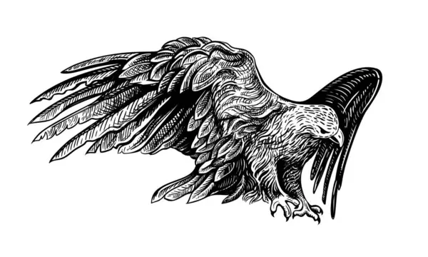 Beyaz arka planda izole edilmiş bir altın kartalın el çizimi. Vahşi bozkır kuşu kanatlarını açtı. Oyma biçiminde vektör doğrusal çizimi