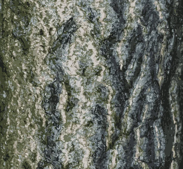 イチョウの木の樹皮のリアルなイラスト 樹皮の背景 — ストック写真