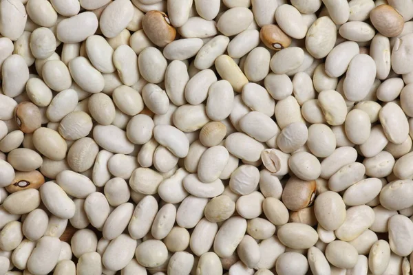 Beyaz Kayısı Fasulyesinin Arka Planı Çiğ Fasulye Tohumundan Sağlıklı Gıda — Stok fotoğraf