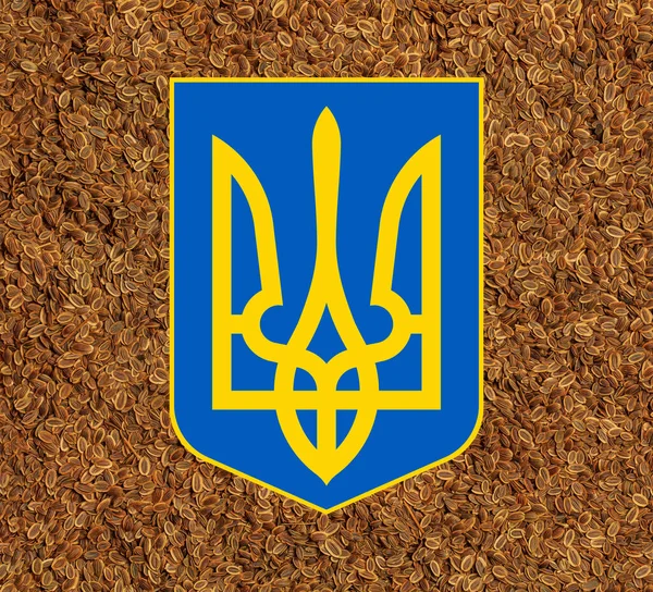 Украинские Национальные Символы Фоне Семян Сухого Укропа — стоковое фото